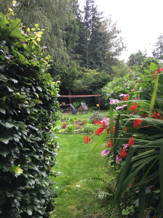 B&B Porcini Ermelo Exterior foto