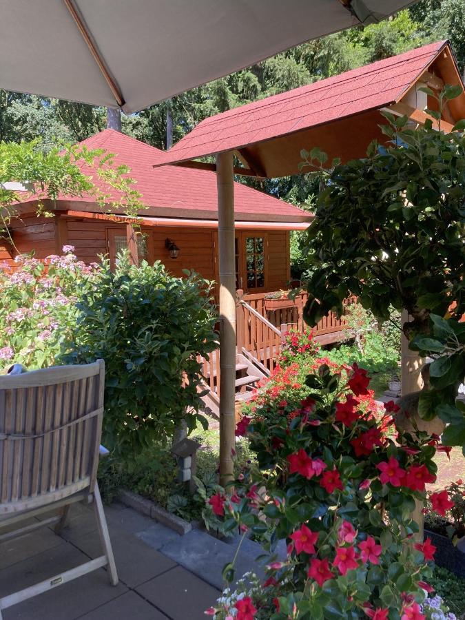 B&B Porcini Ermelo Exterior foto